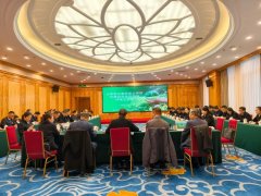 平安方面沉视消防平安、食物平安、保密平安的